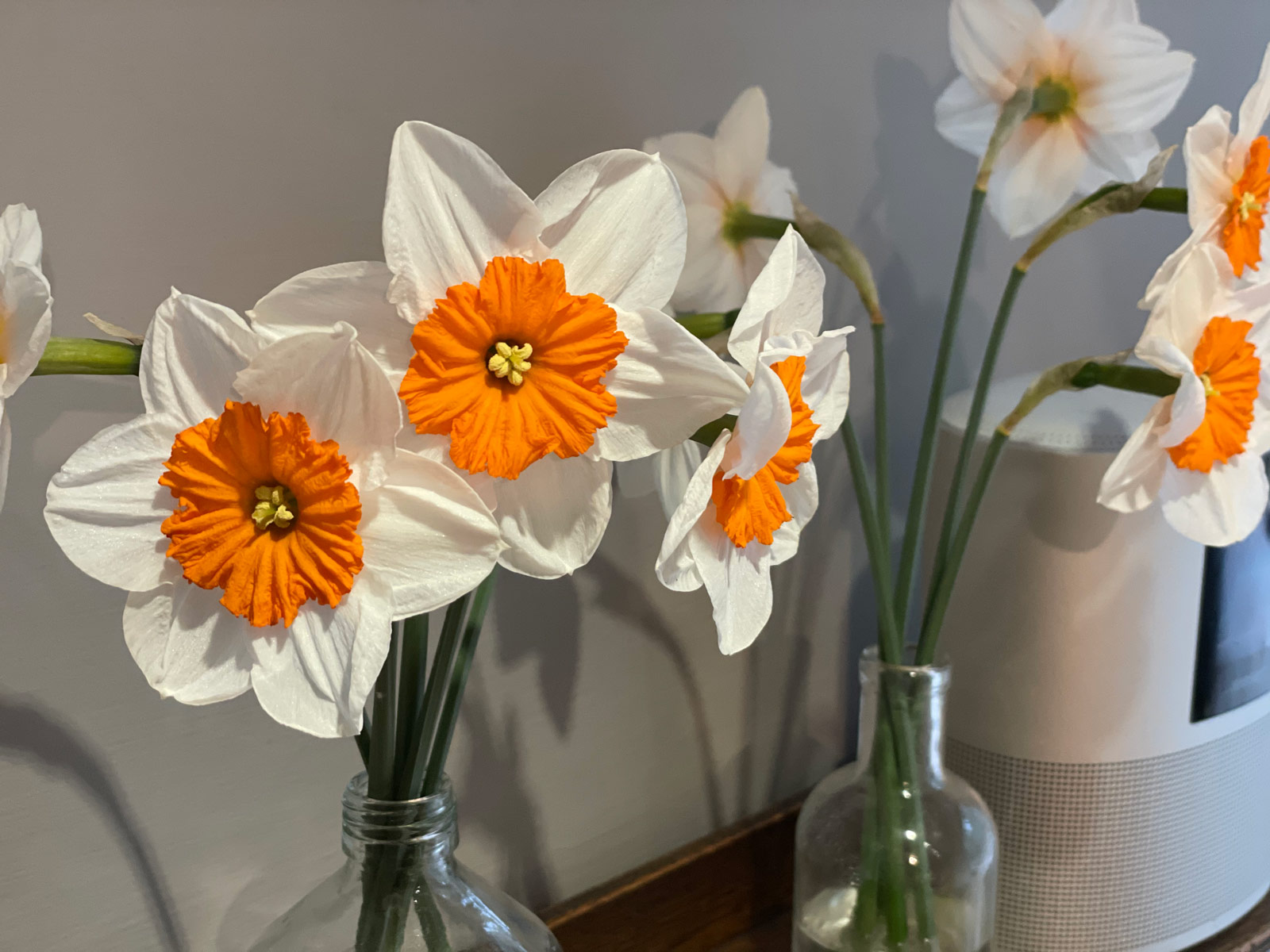 Spring Opening 2021 – Bike Hire and Bike Tours in The Lake District
